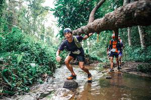 BIB: 
                            <button type="button" onclick="openModal(25368803)" class="btn btn-primary btn-sm float-right btn-popup" data-toggle="modal" data-target=".modal-high-quality">
                        <i class="fas fa-shopping-cart"></i> Add to Cart
                    </button>
                                            <button type="button" onclick="isThisMe(25368803, true)" class="btn btn-success btn-sm float-right btn-popup btn-isme hidden" data-toggle="tooltip" data-placement="bottom" title="นี่คือรูปของคุณใช่ไหม คลิกที่นี่เพื่อเอาเข้าอัลบั้ม">
                        <i class="fas fa-plus"></i> Add to album
                    </button>
                    <button type="button" onclick="isThisMe(25368803, false)" class="btn btn-warning btn-sm float-right btn-popup btn-isnotme hidden">
                        <i class="fas fa-ban"></i> Remove from album
                    </button>